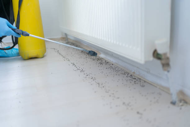 Best Ant Control Services  in Rose Lodge, OR